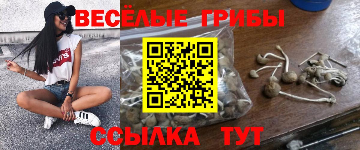 Якутск  Псилоцибиновые грибы MAGIC MUSHROOMS  Вход с VPN 